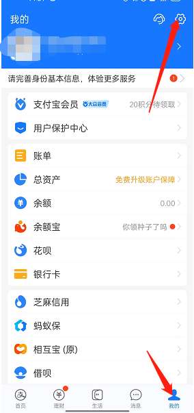 支付宝回车键发送消息开启的操作方法