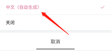 哔哩哔哩短视频怎么看字幕 哔哩哔哩短视频看字幕的方法