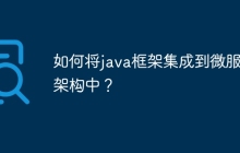如何将java框架集成到微服务架构中?