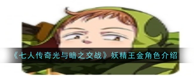 《七人传奇光与暗之交战》妖精王金角色介绍