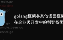 golang框架与其他语言框架在企业级开发中的利弊权衡