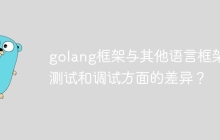 golang框架与其他语言框架在测试和调试方面的差异？