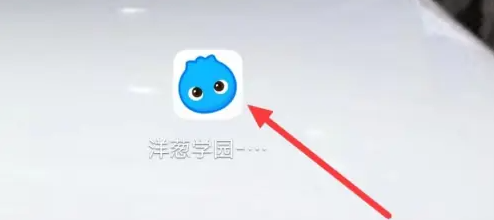 洋葱学园怎么录屏 洋葱学园开启录音权限方法