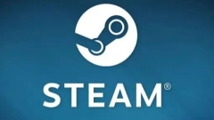 Where is the function of switching accounts in steam?