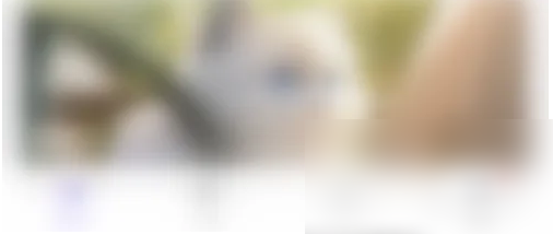 潇湘书院怎么设置上下翻页 设置上下翻页的操作方法