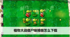 《植物大战僵尸》嫁接版怎么下载