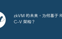 zkVM 的未来，为何基于 RISC-V 架构？