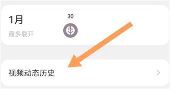 微信视频动态历史怎么查看 微信视频动态历史查看方法