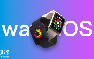 Der letzte Zweig der 10.x-Ära, Apple watchOS 10.6 Public Beta 1, wird veröffentlicht