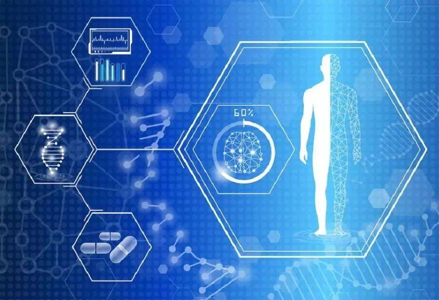 Covering text, positioning and segmentation tasks, Zhiyuan and Hong Kong Chinese jointly proposed the first multi-functional 3D medical multi-modal large model