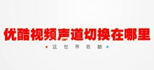 Where to switch the audio channel of Youku video? How to switch the audio channel of Youku video