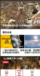 央视频怎么查看卫视直播 央视频查看卫视直播方法