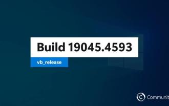 Win10 19045.4593:Beta / RP 將發送相同預覽版更新修補程式KB5039299(附更細修復介紹)