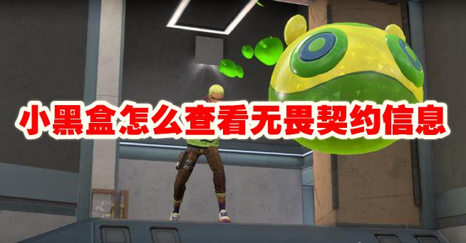 小黑盒怎么查看无畏契约信息 小黑盒怎么查看无畏契约战绩