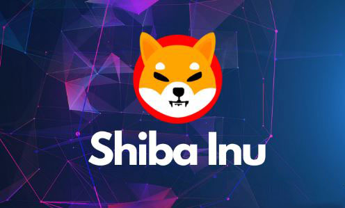 下一个牛市会暴涨的币有哪些?牛市暴涨100倍的6种加密货币分析