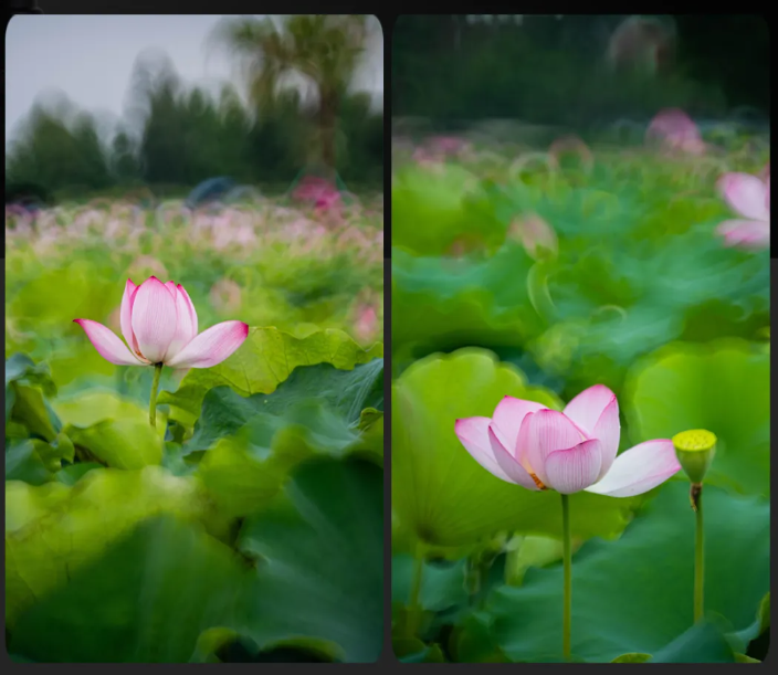 卡色手机长焦镜头发布：6 倍放大倍率，售价 924 元