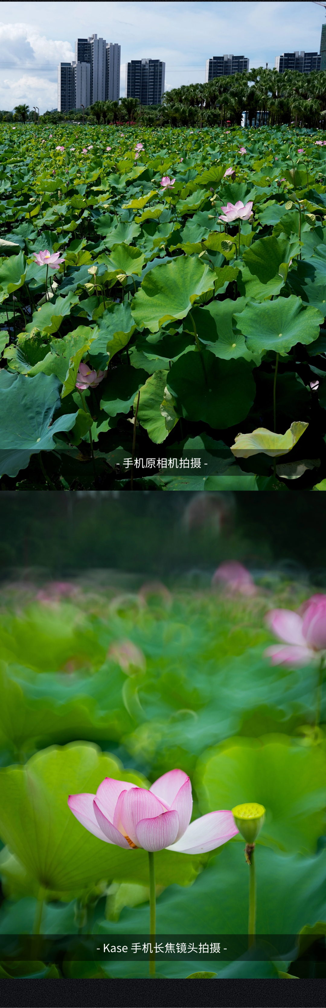 卡色手机长焦镜头发布：6 倍放大倍率，售价 924 元