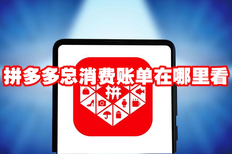 拼多多总消费账单在哪里看 拼多多总消费金额怎么查看