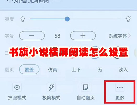 书旗小说横屏阅读怎么设置 书旗小说横屏阅读怎么关闭