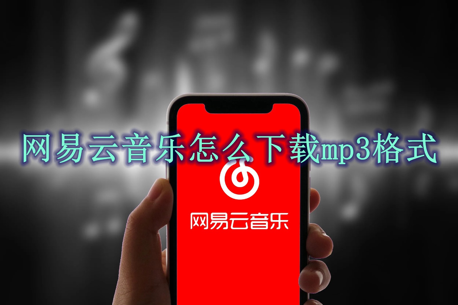 网易云音乐怎么下载mp3格式 网易云音乐mp3格式下载方法