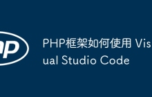 PHP框架如何使用 Visual Studio Code