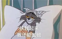 158只啾啾，你不打工，有得是啾啾打工！