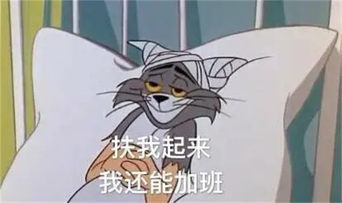 158只啾啾，你不打工，有得是啾啾打工！
