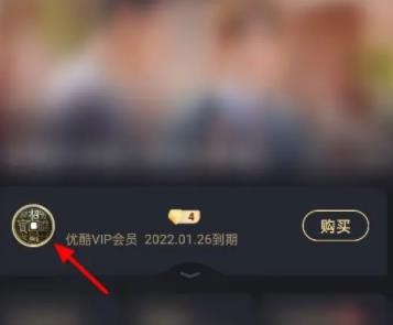 优酷视频会员怎么取消自动续费 优酷视频会员自动续费取消方法