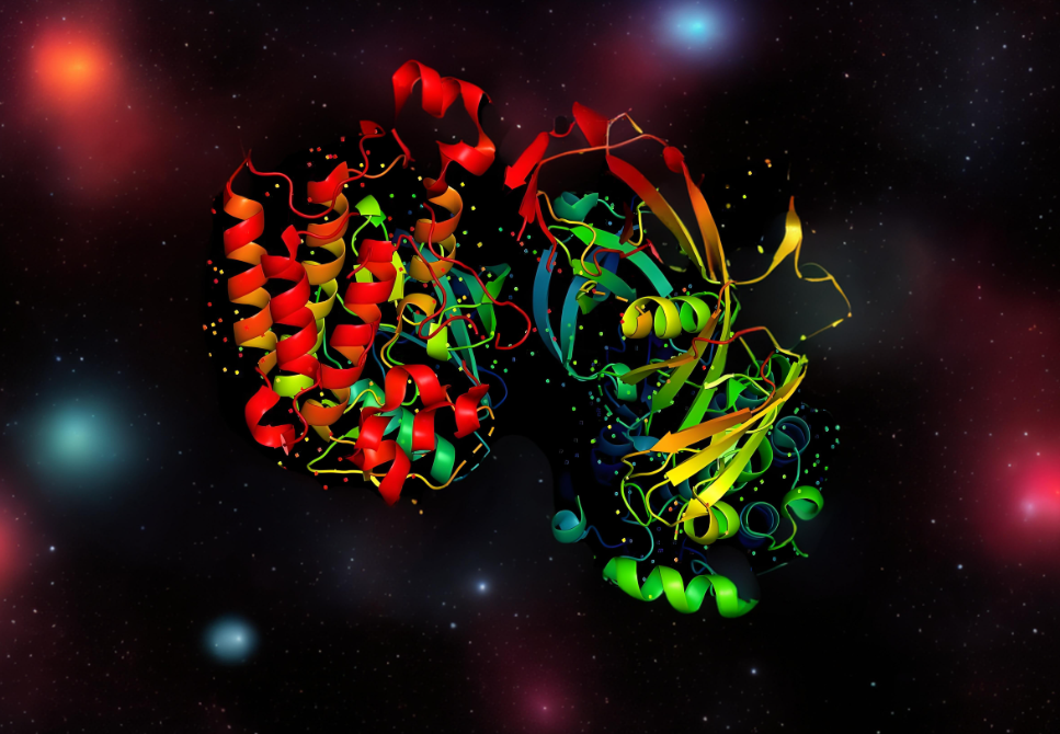 Tsinghua AIR et d'autres ont proposé ESM-AA, le premier modèle de langage protéique allant des acides aminés aux échelles atomiques