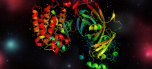 清華AIR等提出ESM-AA，首個從胺基酸到原子尺度的蛋白質語言模型