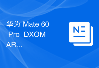 华为 Mate 60 Pro+ DXOMARK 音频测试结果出炉:总分138,位列排行榜第 31 名
