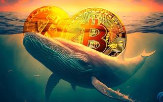 Dompet paus yang telah tidak aktif selama 6 tahun memindahkan 1,000 Bitcoin ke Coinbase! Nilai meningkat lebih daripada 9 kali ganda