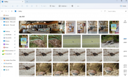 Windows 11预览版Build 25435更新内容介绍