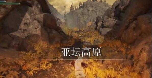 艾尔登法环艾尔登之王结局攻略