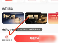 网易云音乐怎么赠送黑胶会员 网易云音乐赠送黑胶会员方法