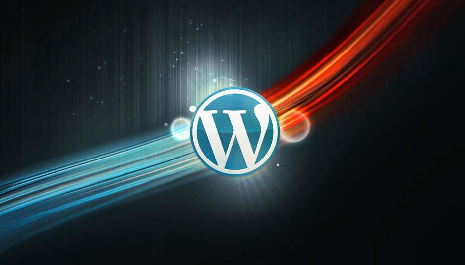 如何使用WPSeku找出 WordPress 安全问题？