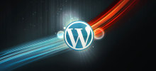 如何使用WPSeku找出 WordPress 安全问题？