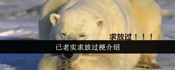 已老实求放过梗介绍
