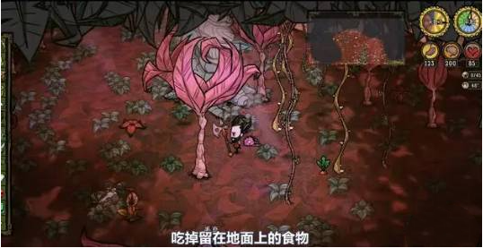 饥荒哈姆雷特藤蔓怎么获得-哈姆雷特藤蔓获得方法