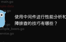 使用中间件进行性能分析和故障排查的技巧有哪些？
