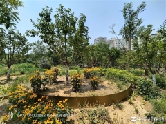 这性能你受得了吗 骁龙8 Gen3领先版实测:高通最强芯