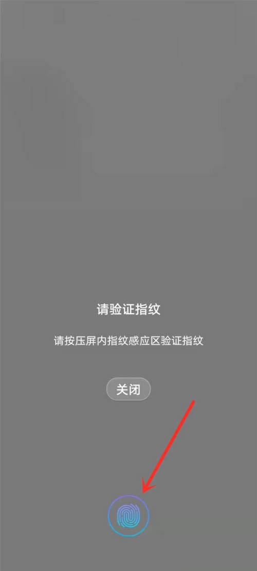 阿里云盘设置指纹解锁怎么操作 阿里云盘设置指纹解锁步骤一览