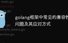 golang框架中常见的兼容性问题及其应对方式