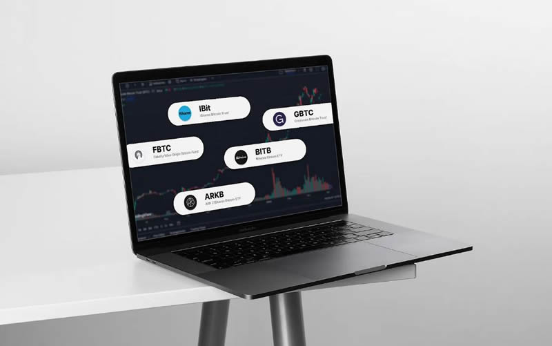 比特币现货ETF在交易5个月后的影响和未来作用分析