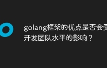 golang框架的优点是否会受到开发团队水平的影响？