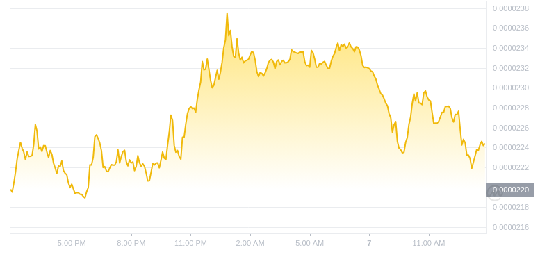 2024年07月07日Bonk币价格