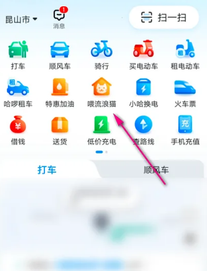 哈罗单车怎么喂流浪猫 哈罗单车投喂街猫教程一览