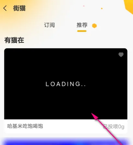 哈罗单车怎么喂流浪猫 哈罗单车投喂街猫教程一览