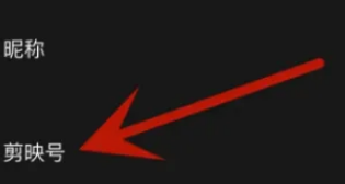 剪映怎么修改剪映号 剪映设置剪映号操作一览