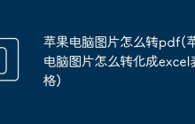 苹果电脑图片怎么转pdf(苹果电脑图片怎么转化成excel表格)